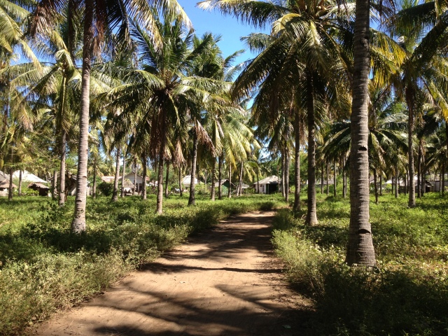 path from Eden to the village